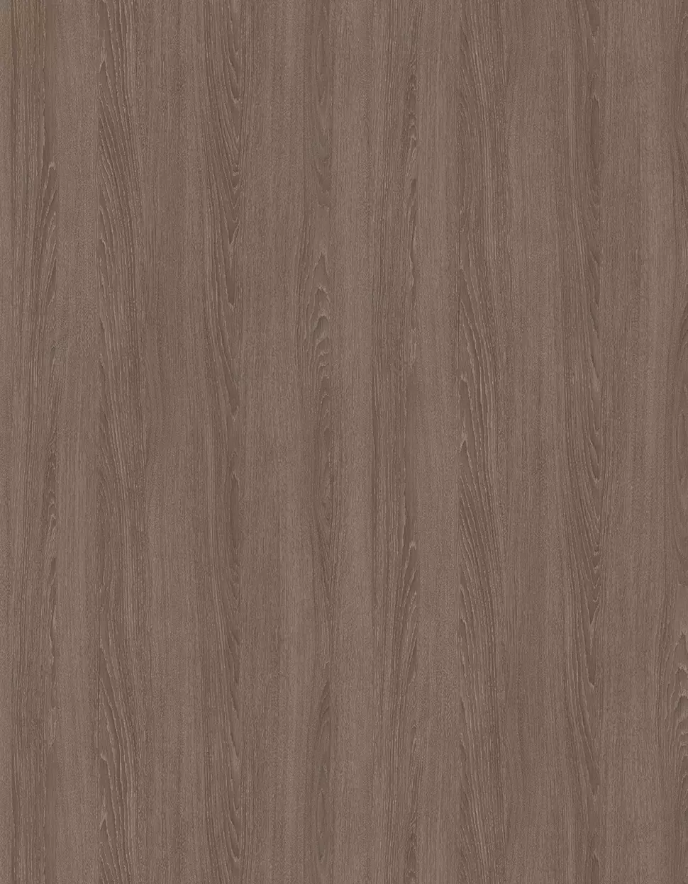 奧爾良灰棕橡木