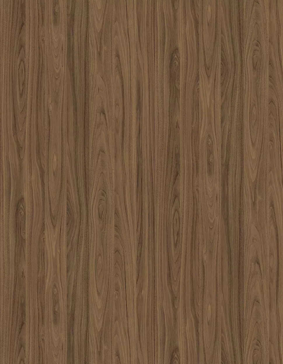 卡里尼自然胡桃木