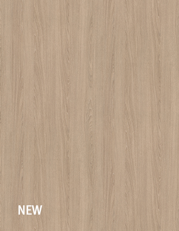 奥爾良沙棕橡木