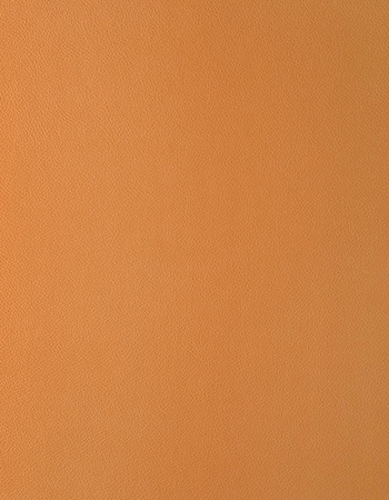 歐蘭修湛橙皮革紋