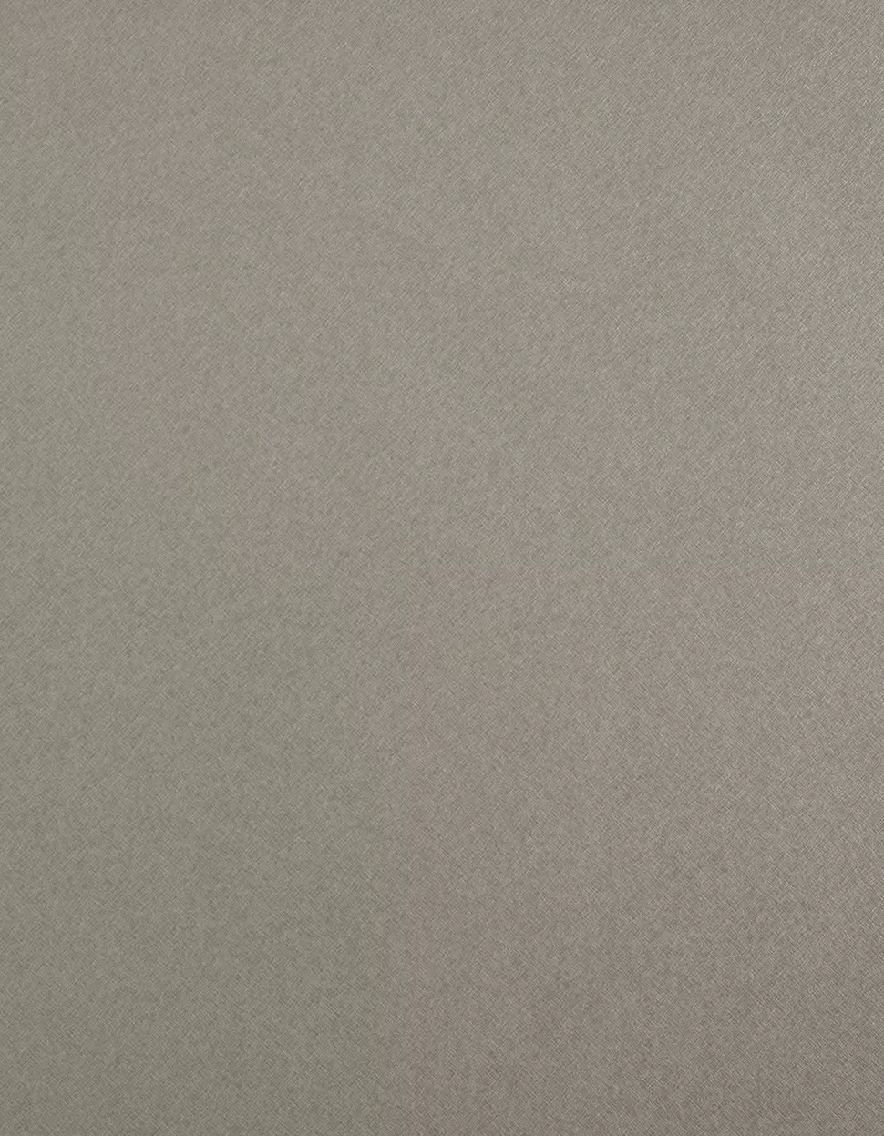 艾瑞迪歐銀白金屬