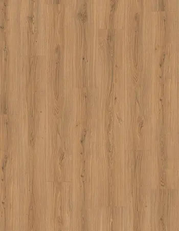 帕多瓦蜂蜜橡木