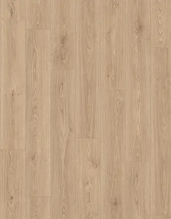 特雷維索棕橡木