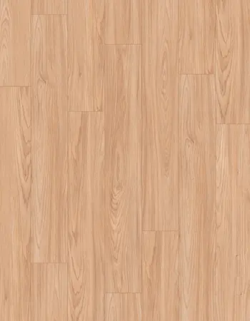 榭菲爾徳自然相思木