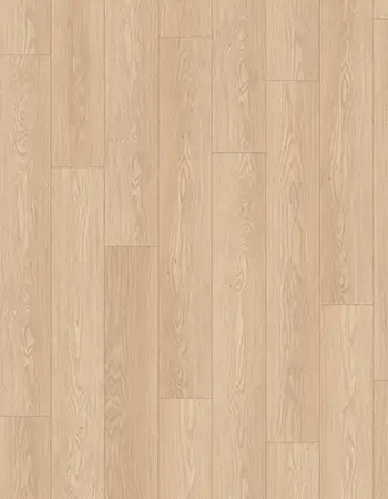 巴羅尼亞沙棕橡木