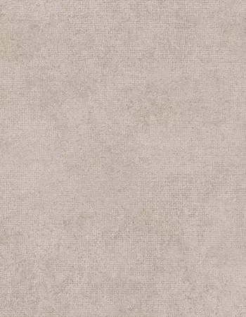 網狀斑駁水泥白