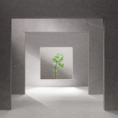 威佐開發股份有限公司