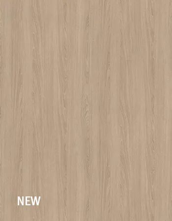 奥爾良沙棕橡木